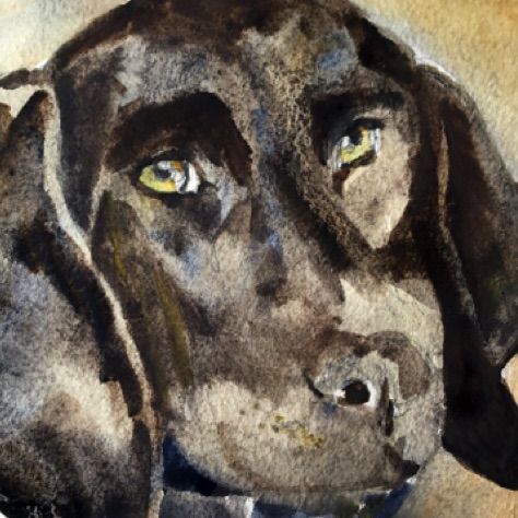 Eric's Dog
5x7
SOLD - Collector in California